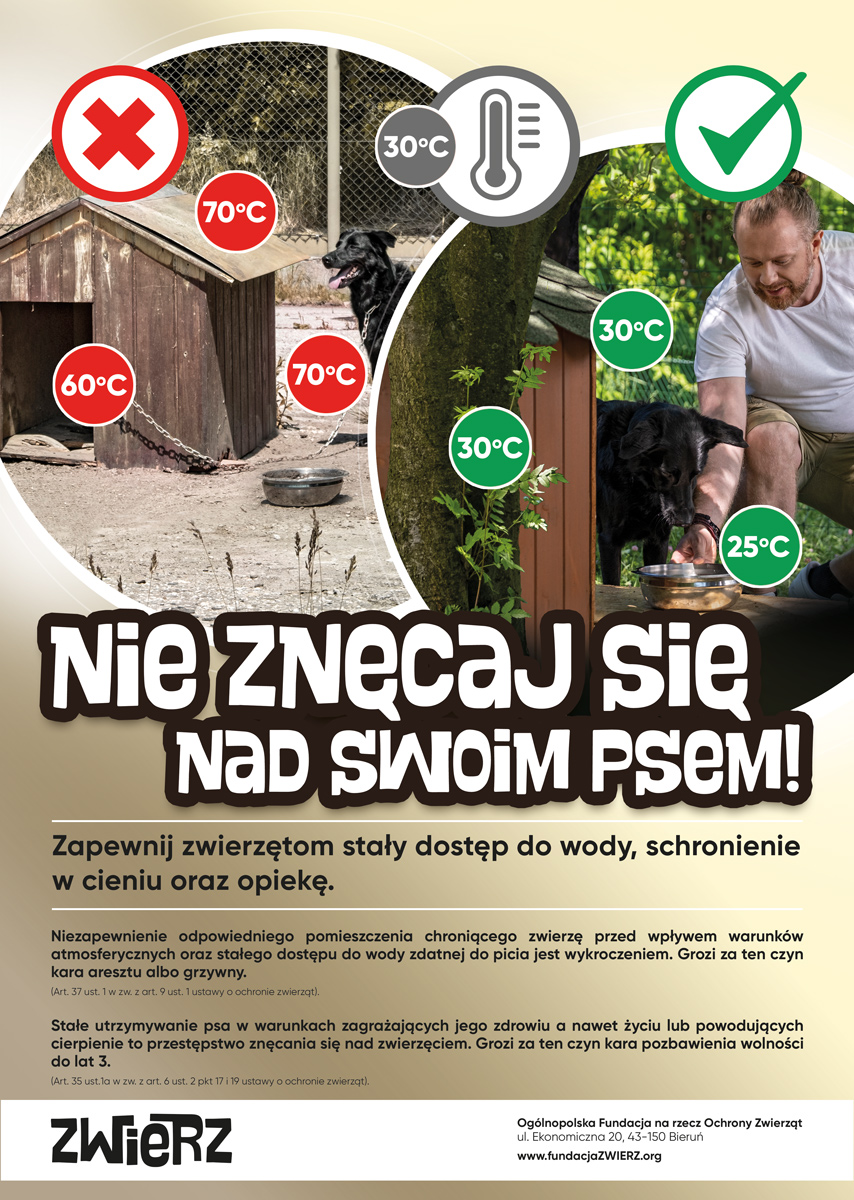 plakaty promujące akcję